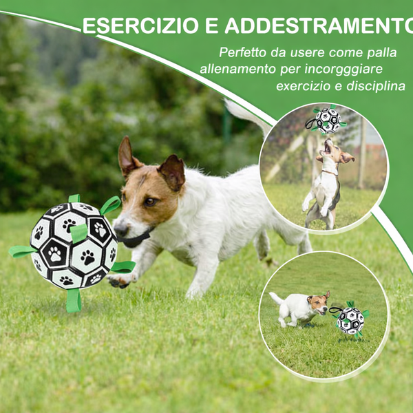 D5058691-34A0-4F78-B970-9D347B2E62B8.PNG__PID:d478ad56-38c0-405c-be2a-b09a980decee