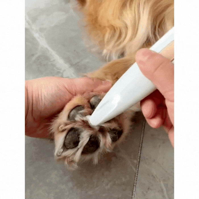 Rasoio per cani