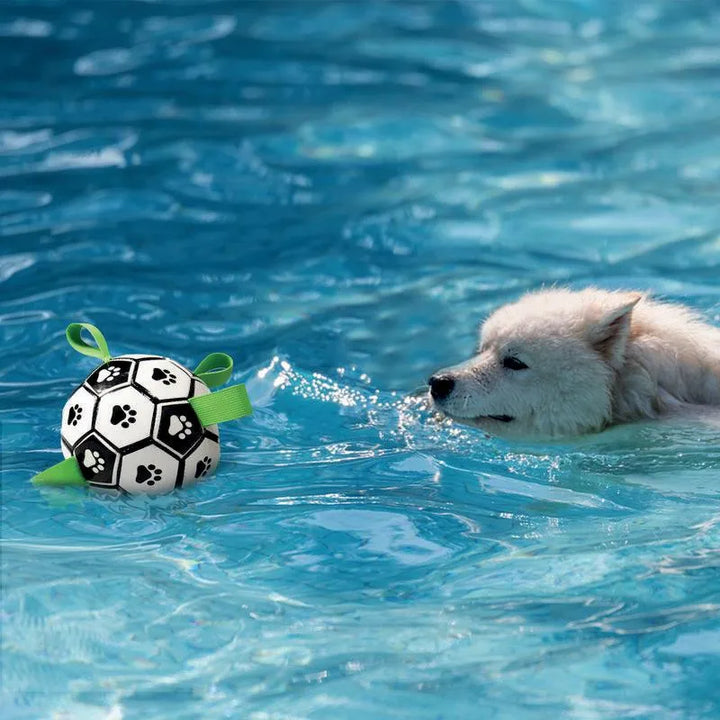 iWdO8fPnfTF4riPIGmbKw.webp__PID:bdd30b60-1dd8-4536-8260-2e4bf267039e